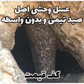 عسل طبیعی شهد وحشی کوهی صخره ای درمانی اصل نیم کیلویی(بهترین عسل ما،کف قیمتی)(خرید مستقیم و بدون واسطه)