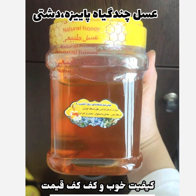عسل چندگیاه پاییزه نیم کیلویی ساده و موم دار.دشتی(خرید مستقیم از زنبوردار)