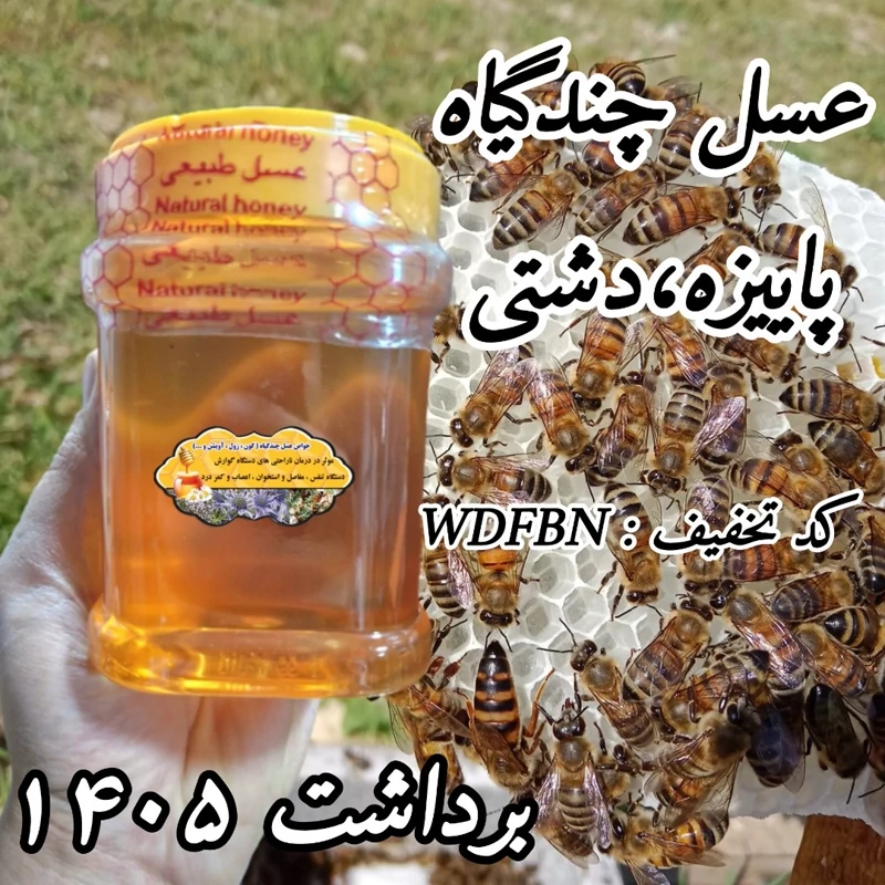 عسل چندگیاه پاییزه 1 کیلویی .دشتی (خرید مستقیم از زنبوردار)ارسال رایگان)