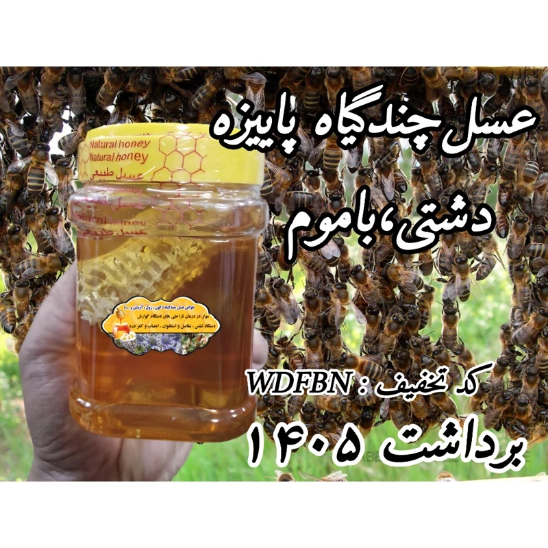 عسل چندگیاه پاییزه باموم 1 کیلویی. دشتی (خرید مستقیم از زنبوردار)