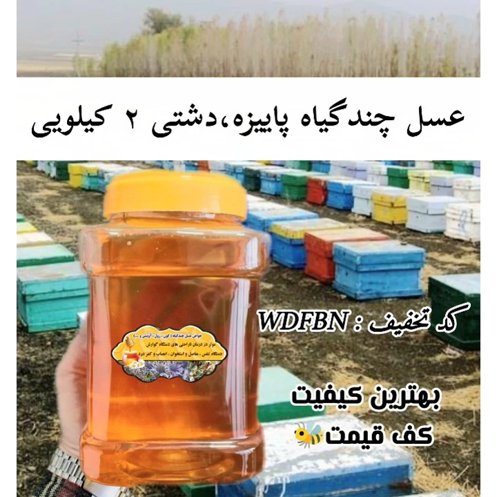 عسل چندگیاه پاییزه 2 کیلویی.دشتی( خرید مستقیم از زنبوردار)