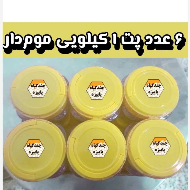 پک 6 کیلویی عسل چندگیاه پاییزه .دشتی.خرید مستقیم از زنبوردار