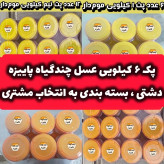 پک 6 کیلویی عسل چندگیاه پاییزه .دشتی.خرید مستقیم از زنبوردار