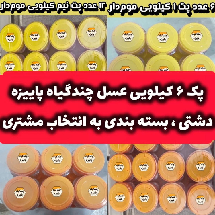 پک 6 کیلویی عسل چندگیاه پاییزه .دشتی.خرید مستقیم از زنبوردار