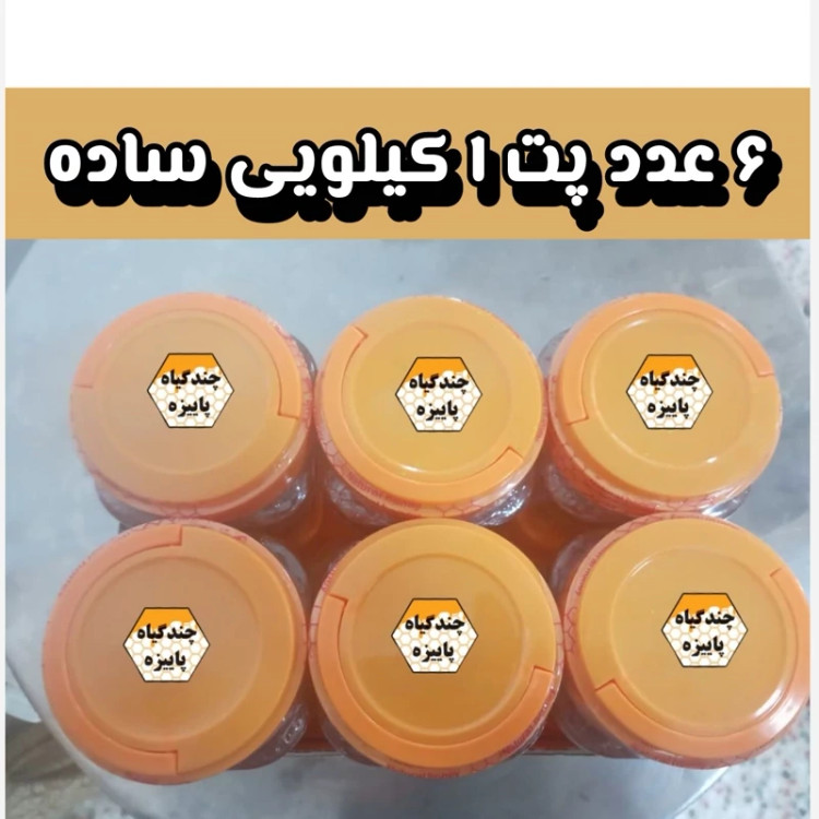 پک 6 کیلویی عسل چندگیاه پاییزه .دشتی.خرید مستقیم از زنبوردار