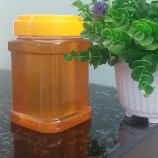 عسل چندگیاه پاییزه.دشتی.۱۲/۵ کیلو به قیمت عمده (خرید مستقیم از زنبوردار) ارسال رایگان