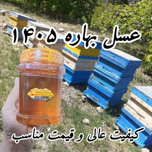 عسل بهاره 1 کیلو برداشت 1405 ساده و موم دار (خرید مستقیم از زنبوردار)ارسال رایگان با ۳م خرید