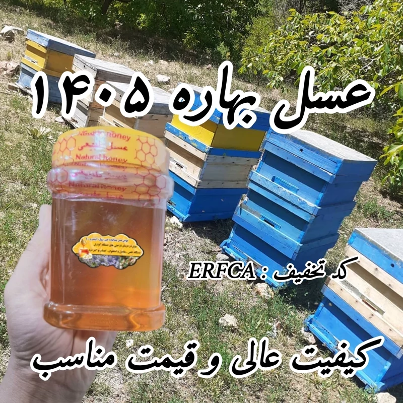 عسل بهاره 1 کیلو برداشت 1405 ساده و موم دار (خرید مستقیم از زنبوردار) ارسال رایگان