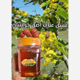 عسل طبیعی تک گل عناب اصل خراسان ۲۵ کیلو به قیمت عمده.باغی(خرید مستقیم از زنبوردار)ارسال رایگان