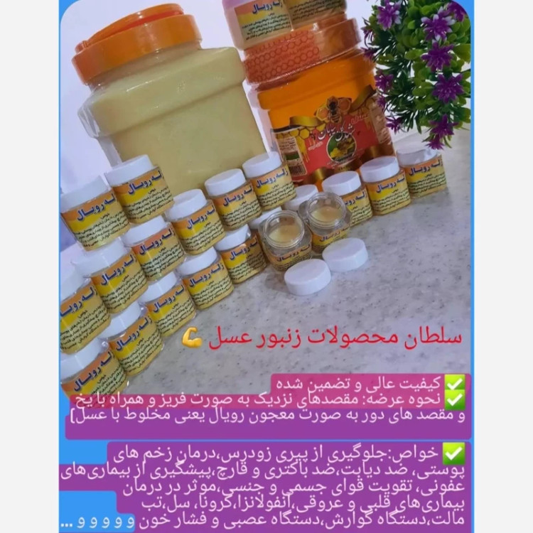 ژل رویال غذای ملکه درمانگر بی نظیر 5 گرم (خرید مستقیم از زنبوردار) ارسال به شهرستان ترکیب با 50gعسل چندگیاه
