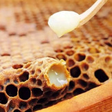 ژل رویال غذای ملکه درمانگر بی نظیر 5 گرم (خرید مستقیم از زنبوردار) ارسال به شهرستان ترکیب با 50gعسل چندگیاه