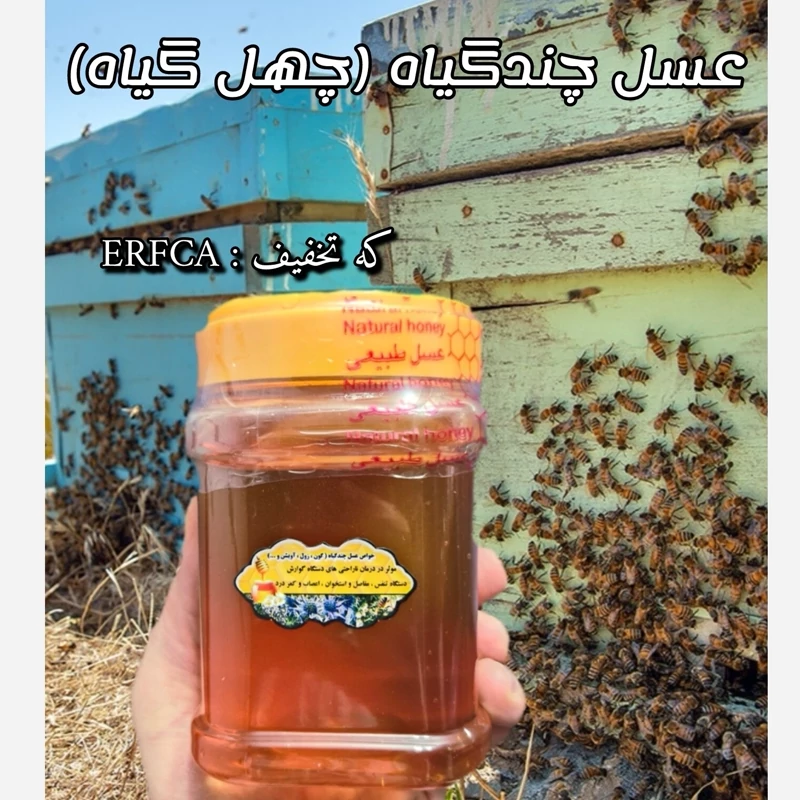 عسل چندگیاه تابستان فریدن 1 کیلویی-دشتی و کوهی(خرید مستقیم از زنبوردار )