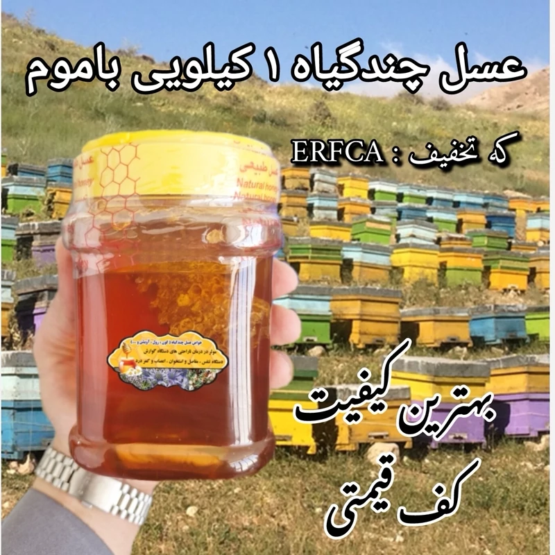 عسل چندگیاه تابستان باموم فریدن 1 کیلویی.دشتی و کوهی(خرید مستقیم از زنبوردار)