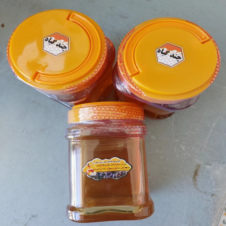 پک 6 کیلویی عسل چندگیاه تابستان فریدن- دشتی و کوهی (خرید مستقیم از زنبوردار ) کف قیمتی