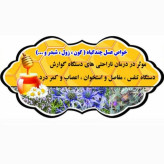 پک 6 کیلویی عسل چندگیاه تابستان فریدن- دشتی و کوهی (خرید مستقیم از زنبوردار ) کف قیمتی