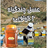 عسل چندگیاه تابستان فریدن 2 کیلویی-دشتی و کوهی (خرید مستقیم از زنبوردار)