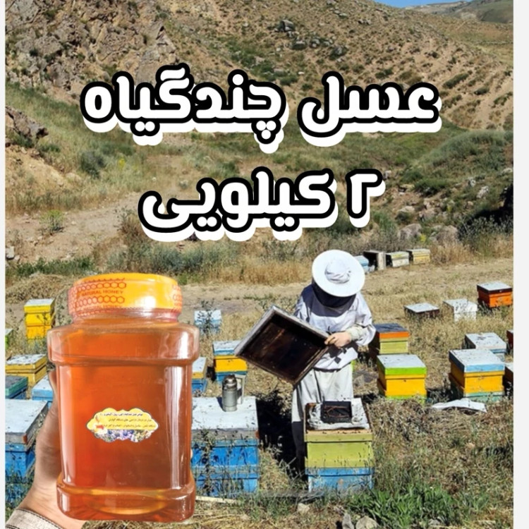 عسل چندگیاه تابستان فریدن 2 کیلویی-دشتی و کوهی (خرید مستقیم از زنبوردار)