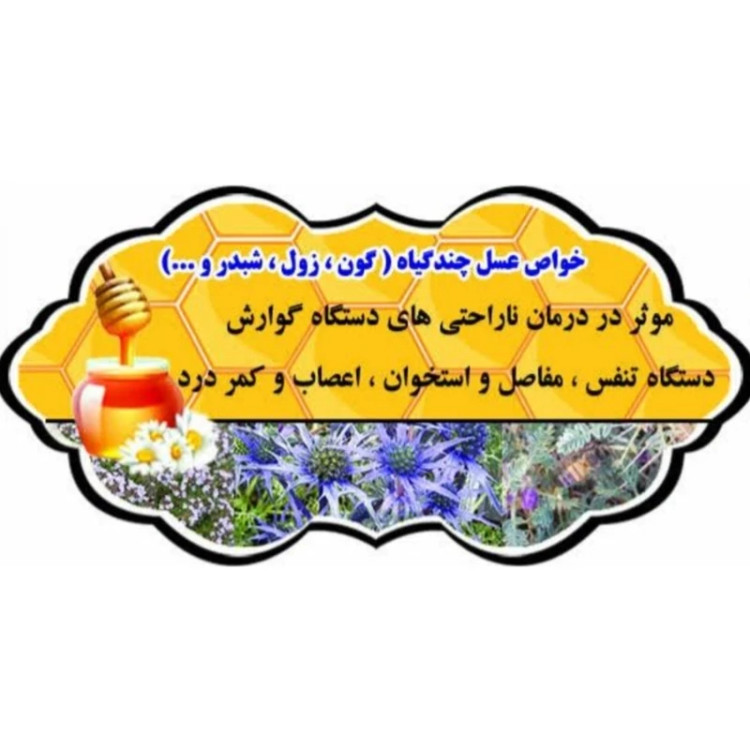 عسل چندگیاه تابستان فریدن 2 کیلویی-دشتی و کوهی (خرید مستقیم از زنبوردار)