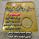 عسل چند گیاه تابستان فریدن 12/5 کیلو .به قیمت عمده. دشتی و کوهی (خرید مستقیم از زنبوردار) ارسال رایگان
