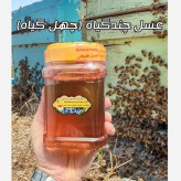 عسل چند گیاه تابستان فریدن 12/5 کیلو .به قیمت عمده. دشتی و کوهی (خرید مستقیم از زنبوردار) ارسال رایگان