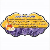 عسل طبیعی تک گل اسطوخودوس اصل .۱۲/۵ کیلو به قیمت عمده.دشتی و بیابانی(خرید مستقیم از زنبوردار)ارسال رایگان