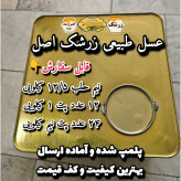 عسل طبیعی تک گل زرشک ۱۲/۵ کیلو . کوهی و باغی(خرید مستقیم از زنبوردار)ارسال رایگان