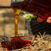 عسل طبیعی تک گل زرشک اصل 25 کیلو .باغی و کوهی(خرید مستقیم از زنبوردار)ارسال رایگان