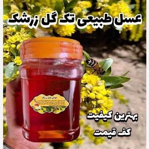 عسل طبیعی تک گل زرشک اصل 25 کیلو .باغی و کوهی(خرید مستقیم از زنبوردار)ارسال رایگان