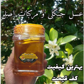 عسل طبیعی جنگلی و مرکبات اصل مازندران - باغی،جنگلی (خرید مستقیم از زنبوردار) ارسال رایگان