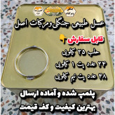 عسل طبیعی جنگلی و مرکبات اصل مازندران ۲۵ کیلو .باغی و جنگلی(خرید مستقیم از زنبوردار)ارسال رایگان