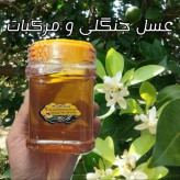 عسل طبیعی جنگلی و مرکبات اصل مازندران ۲۵ کیلو .باغی و جنگلی(خرید مستقیم از زنبوردار)ارسال رایگان