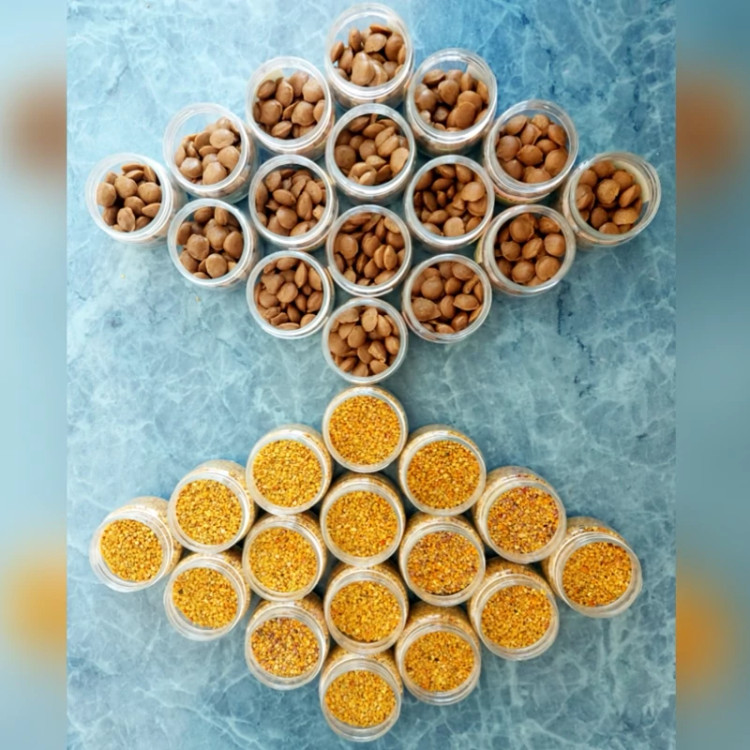 گرده گل ایرانی کوهستان 40 گرمی (خرید مستقیم از زنبوردار )