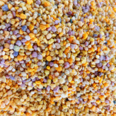 گرده گل ایرانی کوهستان 40 گرمی (خرید مستقیم از زنبوردار )
