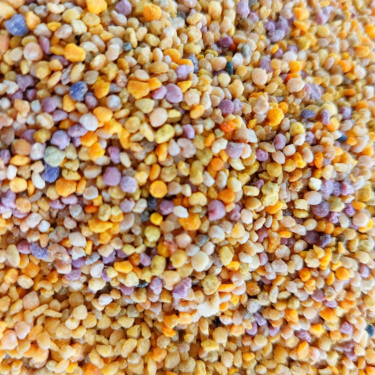 گرده گل ایرانی کوهستان 40 گرمی (خرید مستقیم از زنبوردار )