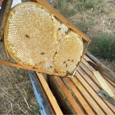 عسل قاب چوبی مومی خود بافت 2.700کیلویی با چوب(خرید مستقیم از زنبوردار) ارسال رایگان