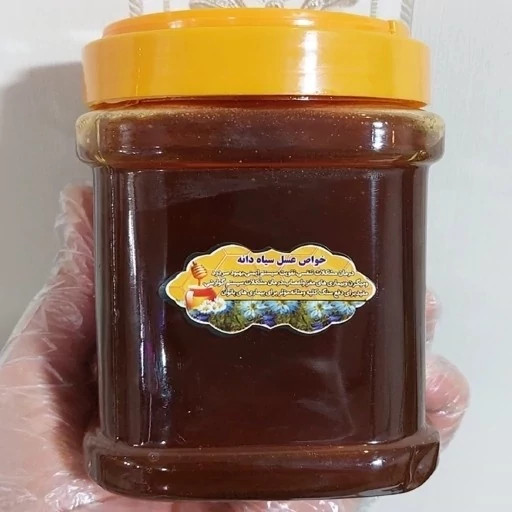 عسل تک گل طبیعی سیاه دانه اصل 12/5 کیلو. به قیمت عمده.دشتی(خرید مستقیم از زنبوردار)ارسال رایگان