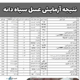 عسل تک گل طبیعی سیاه دانه اصل 12/5 کیلو. به قیمت عمده.دشتی(خرید مستقیم از زنبوردار)ارسال رایگان