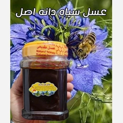 عسل تک گل طبیعی سیاه دانه اصل 12/5 کیلو. به قیمت عمده.دشتی(خرید مستقیم از زنبوردار)ارسال رایگان
