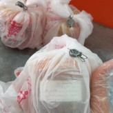 عسل تک گل طبیعی سیاه دانه اصل 25 کیلو. به قیمت عمده.دشتی(خرید مستقیم از زنبوردار)ارسال رایگان