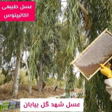 عسل تک گل طبیعی اکالیپتوس اصل 12/5 کیلو. به قیمت عمده .درختی و جنگلی(خرید مستقیم از زنبوردار) ارسال رایگان