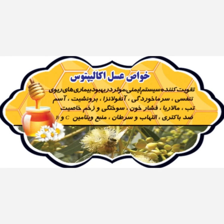 عسل تک گل طبیعی اکالیپتوس اصل 12/5 کیلو. به قیمت عمده .درختی و جنگلی(خرید مستقیم از زنبوردار) ارسال رایگان