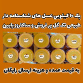 پک عسل تک گل طبیعی(آویشن،انگبین سفارشی،زول،کنارسفارشی،جنگلی مرکبات،اکالیپتوس،زرشک،سیاهدانه،وحشی،عناب)به قیمت عمده