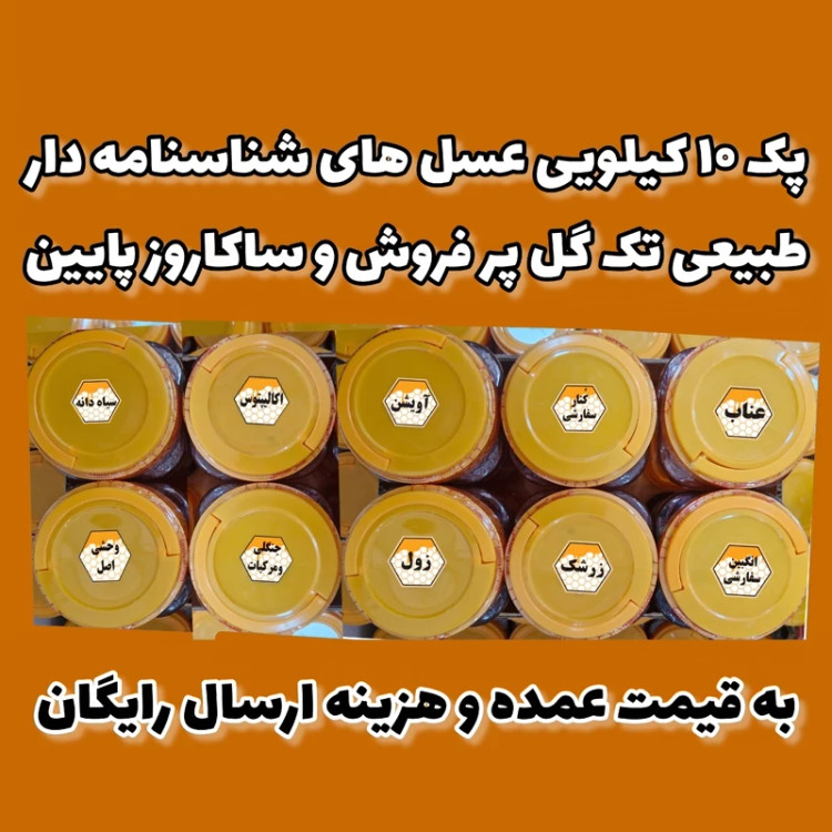 پک عسل تک گل طبیعی(آویشن،انگبین سفارشی،زول،کنارسفارشی،جنگلی مرکبات،اکالیپتوس،زرشک،سیاهدانه،وحشی،عناب)به قیمت عمده