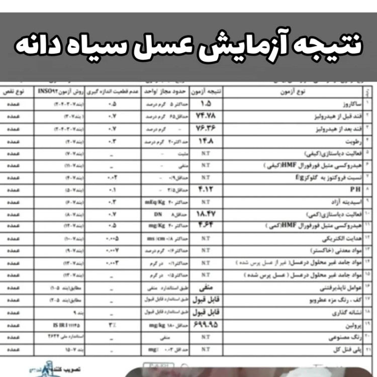 پک عسل تک گل طبیعی(آویشن،انگبین سفارشی،زول،کنارسفارشی،جنگلی مرکبات،اکالیپتوس،زرشک،سیاهدانه،وحشی،عناب)به قیمت عمده