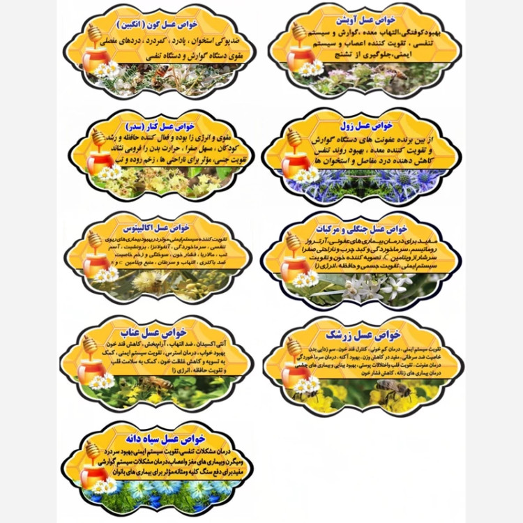 پک عسل تک گل طبیعی(آویشن،انگبین سفارشی،زول،کنارسفارشی،جنگلی مرکبات،اکالیپتوس،زرشک،سیاهدانه،وحشی،عناب)به قیمت عمده