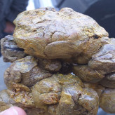 بره موم اصل 40 گرمی (فراوری نشده) خرید مستقیم از زنبوردار