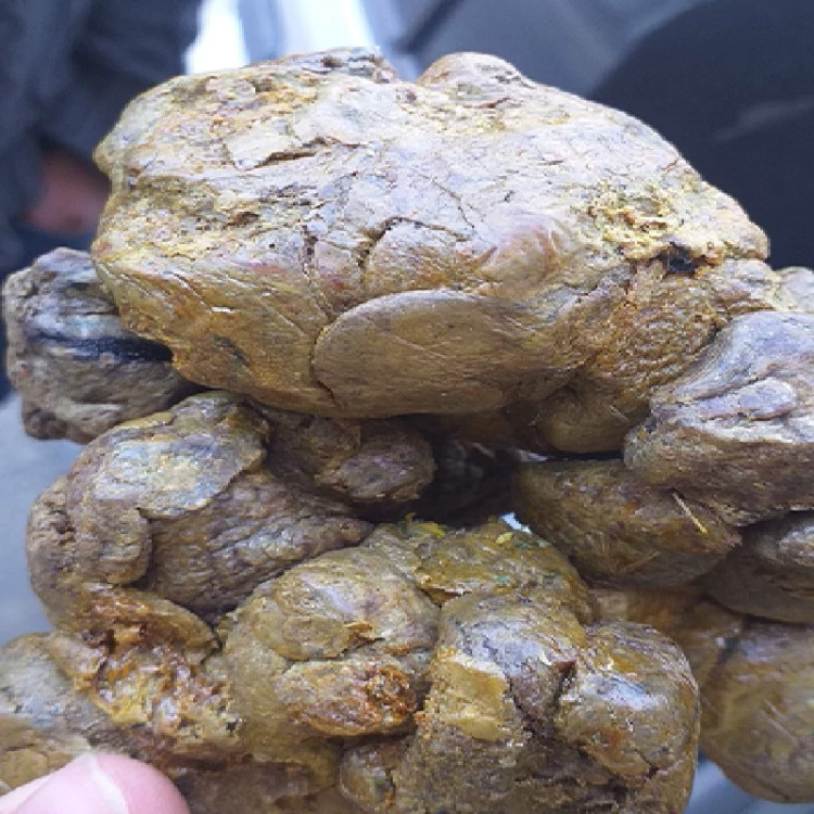 بره موم اصل 40 گرمی (فراوری نشده) خرید مستقیم از زنبوردار