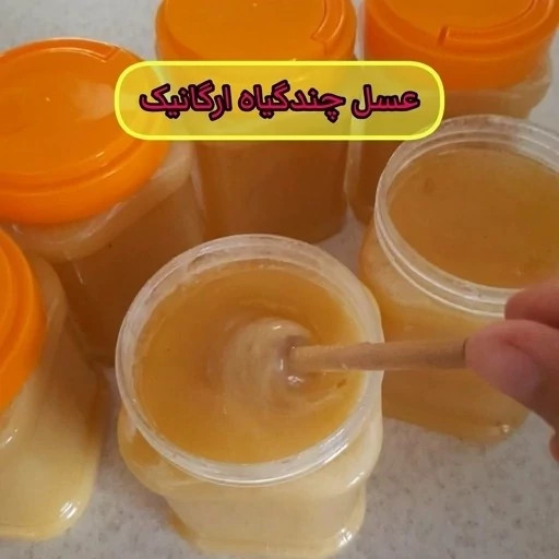 عسل طبیعی چندگیاه ارگانیک کریستالیزه (رس بسته) اصل کوهستان 12/5 کیلو .کوهی(خرید مستقیم از زنبوردار)ارسال رایگان