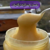 عسل طبیعی چندگیاه ارگانیک کریستالیزه (رس بسته) اصل کوهستان 25 کیلو -کوهی (خرید مستقیم از زنبوردار)ارسال رایگان