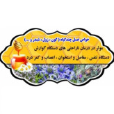 عسل طبیعی چندگیاه ارگانیک کریستالیزه (رس بسته) اصل کوهستان 25 کیلو -کوهی (خرید مستقیم از زنبوردار)ارسال رایگان